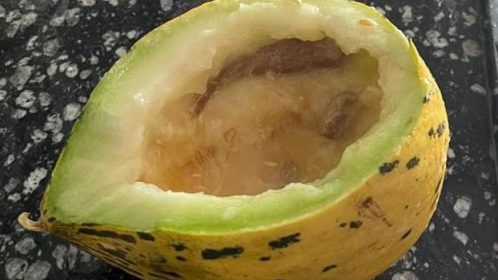 Kavunun içinden çıkana şaşıracaksınız